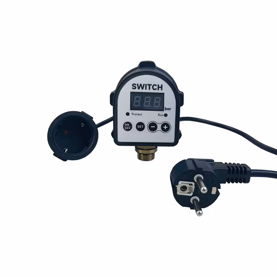 Pressostato Accessori per pompe dell'acqua Regolatore automatico della pompa Dps